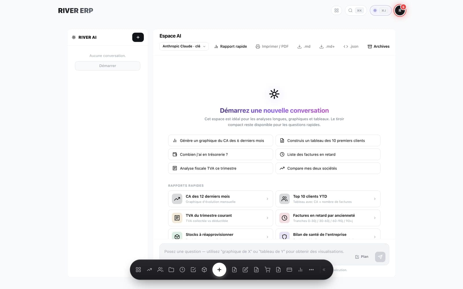 RIVER ERP AI assistant